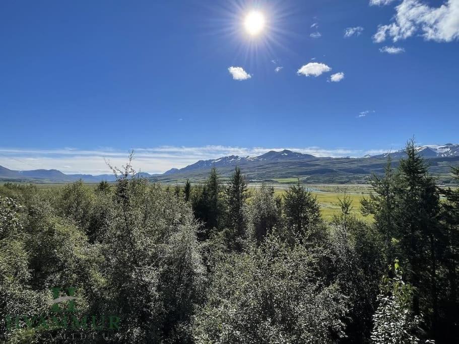 Forest Hideaway Near Akureyri Buitenkant foto